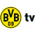 BVB-TV